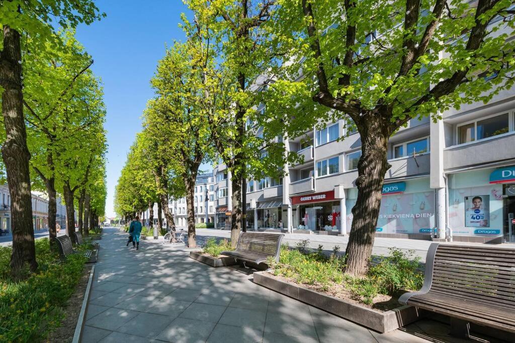 Central 2 Bd Apartment By Hostlovers Kaunas Ngoại thất bức ảnh
