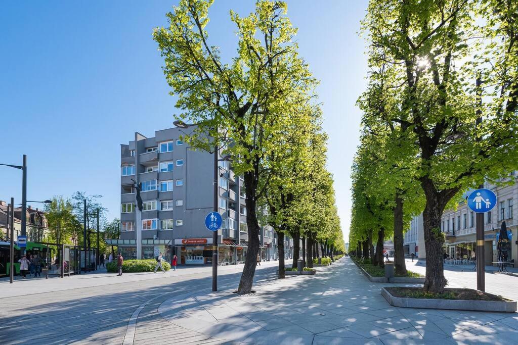 Central 2 Bd Apartment By Hostlovers Kaunas Ngoại thất bức ảnh
